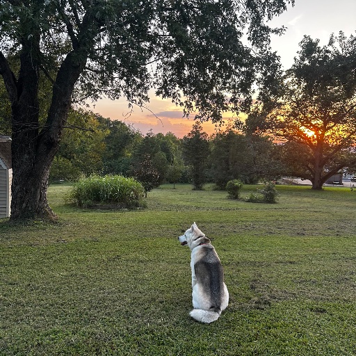 Max