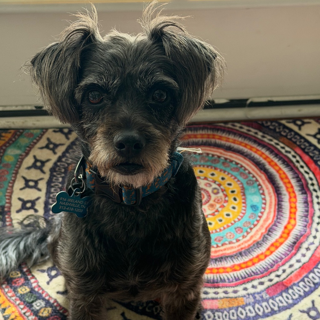 Max