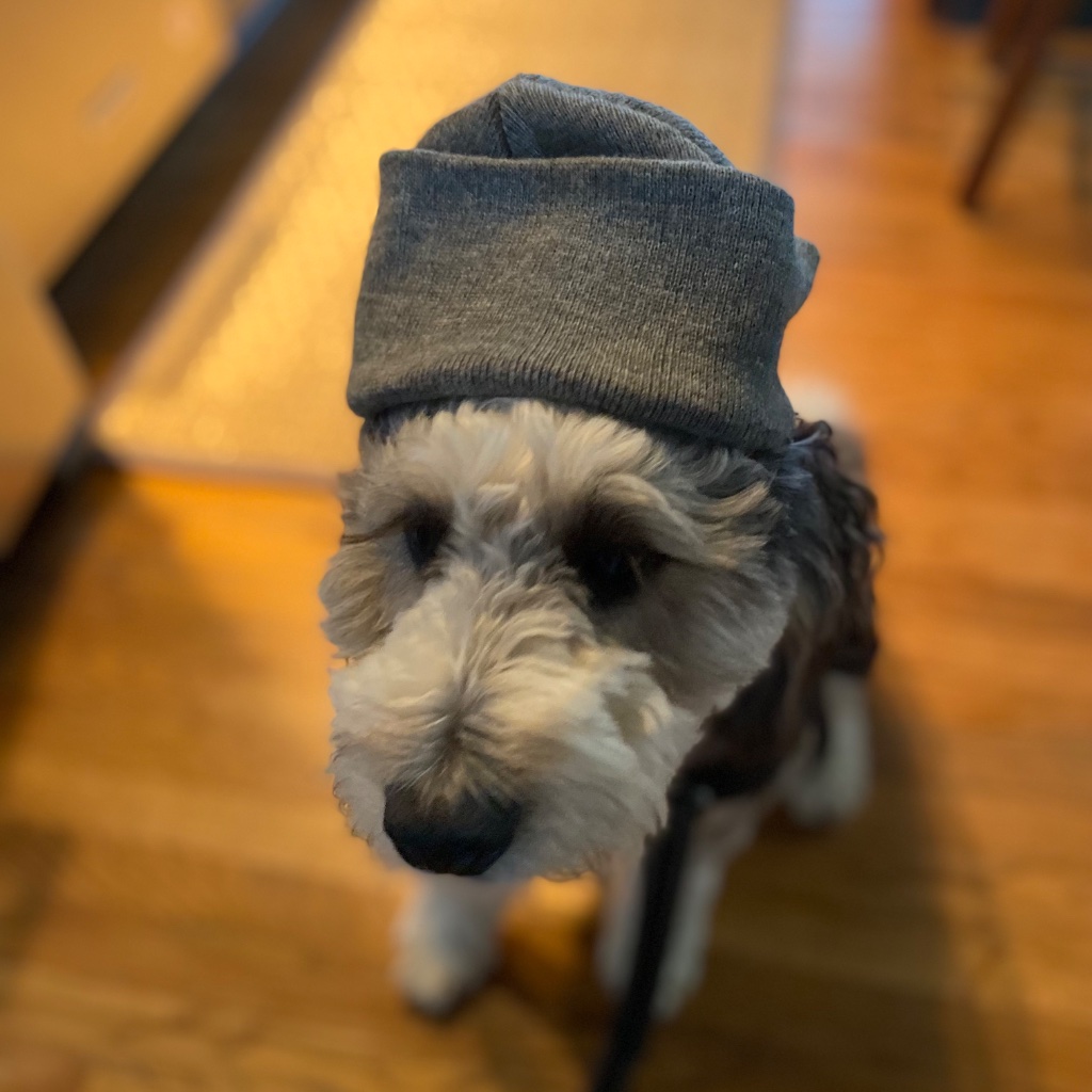 Ollie